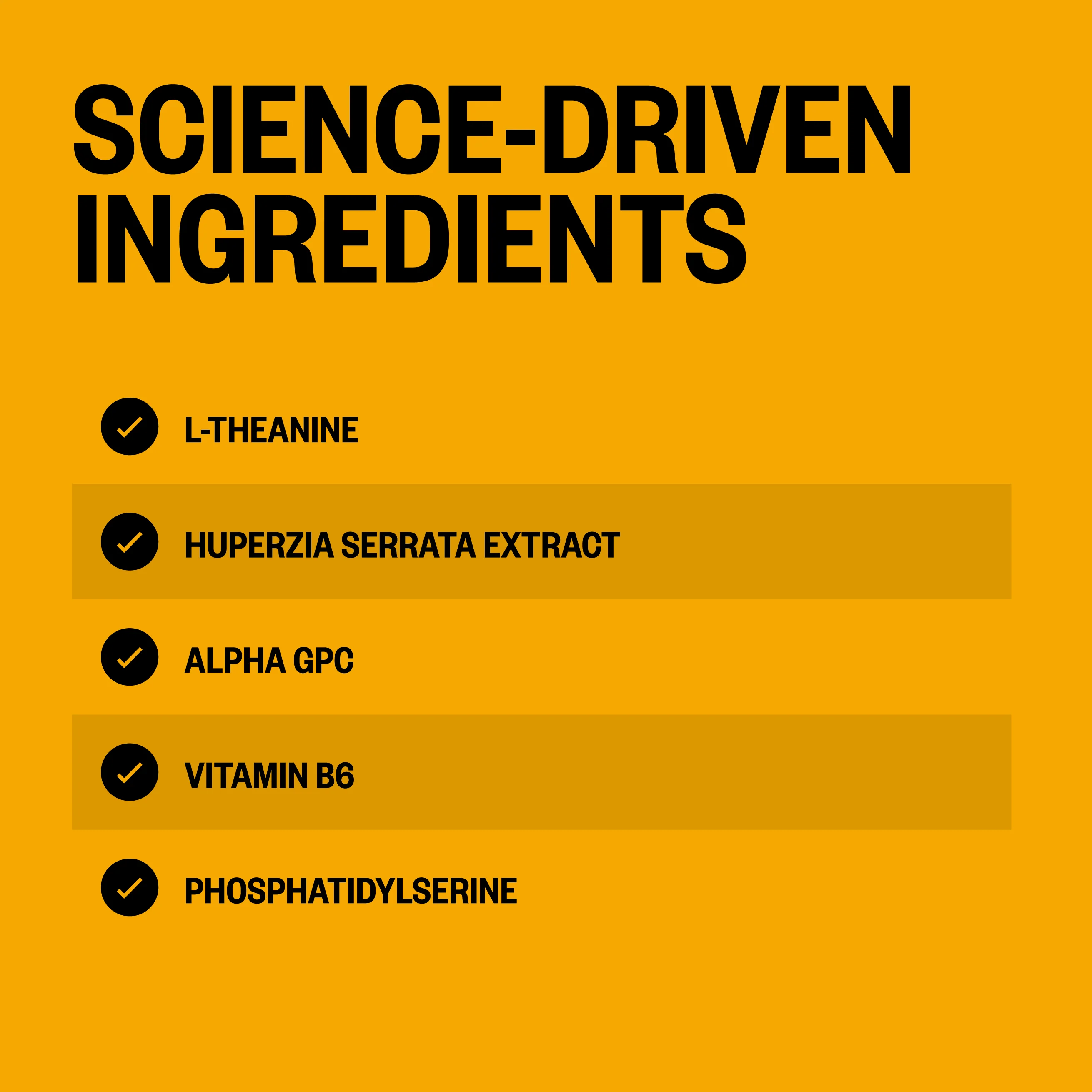 Alpha BRAIN® (60 ct) - Image 4