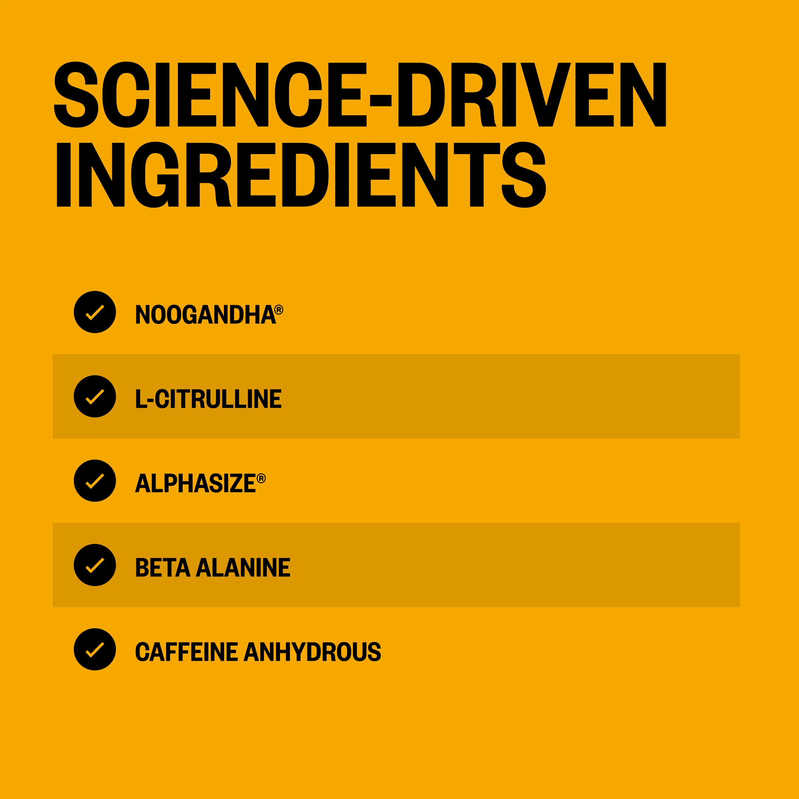 Alpha BRAIN® Pre-Workout - Tiger's Blood (20 Serving Tub) - Image 4
