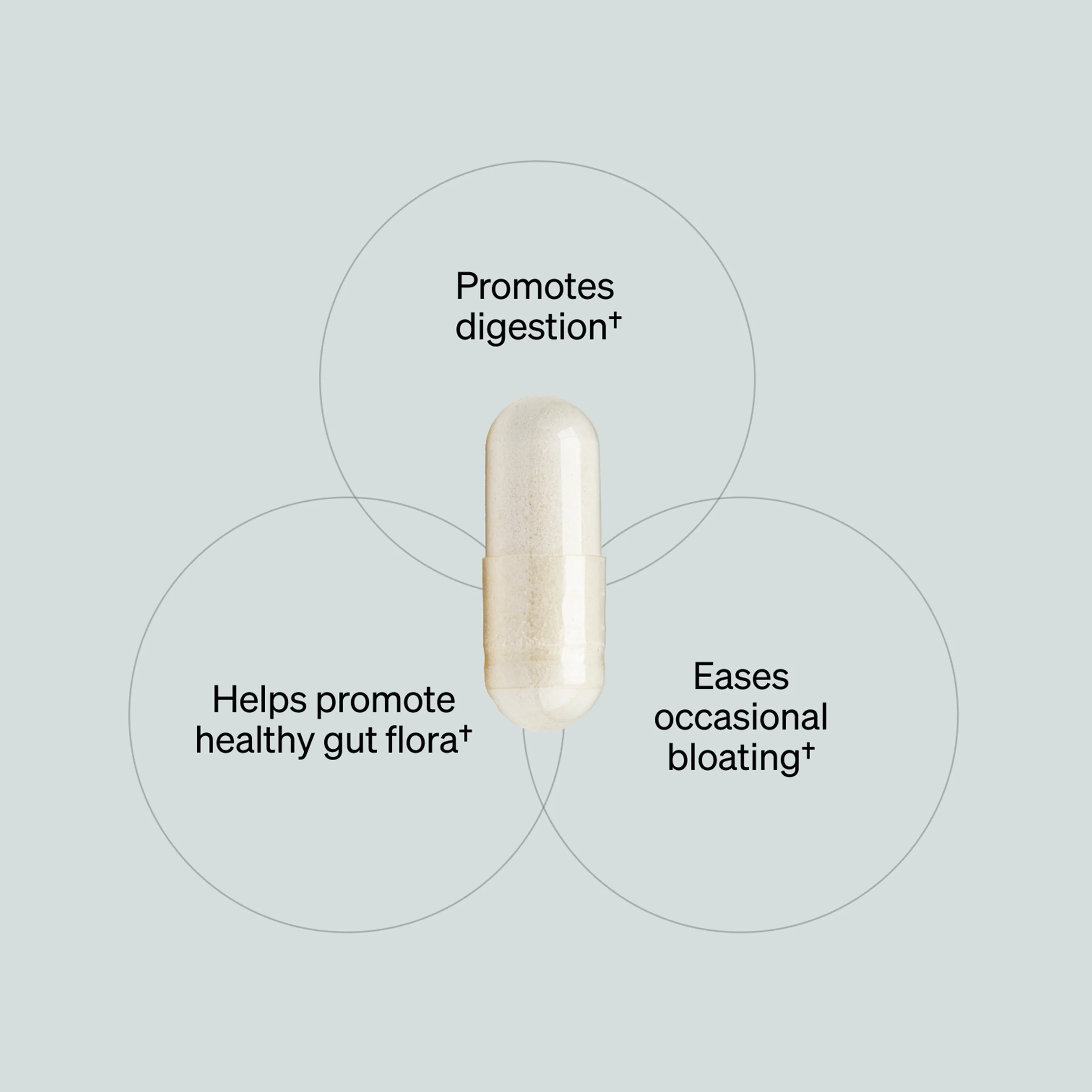 Total GUT HEALTH® (120 ct) - Image 2