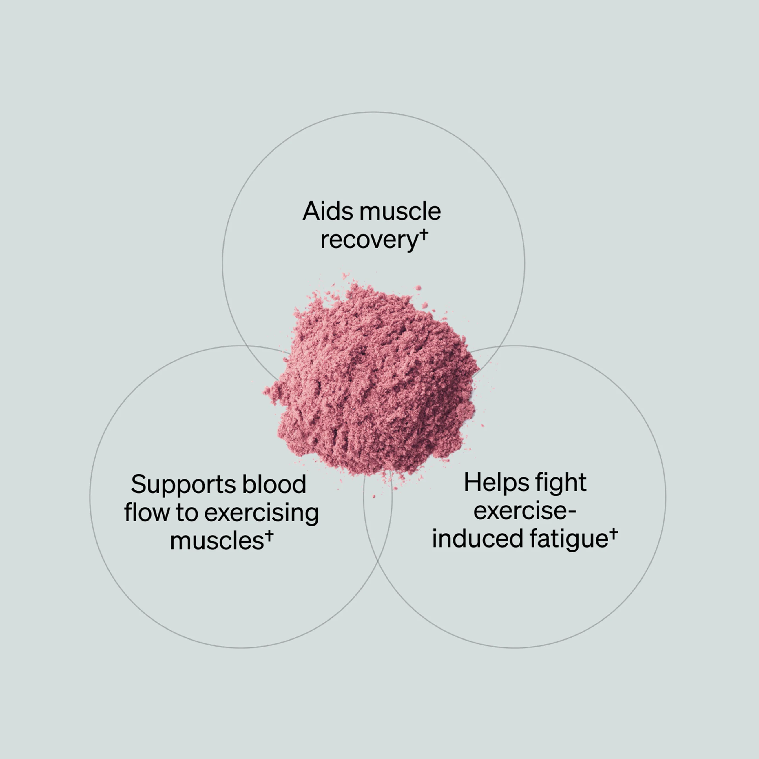 Total Nitric Oxide® - Harvest Fruit (20 Serving Tub) - Image 2